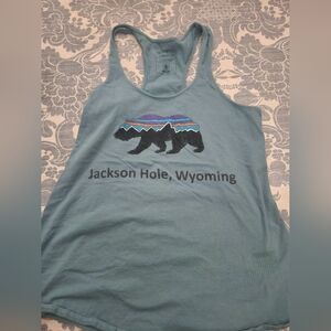 Patagonia Blue Jackson Hole Tank Top